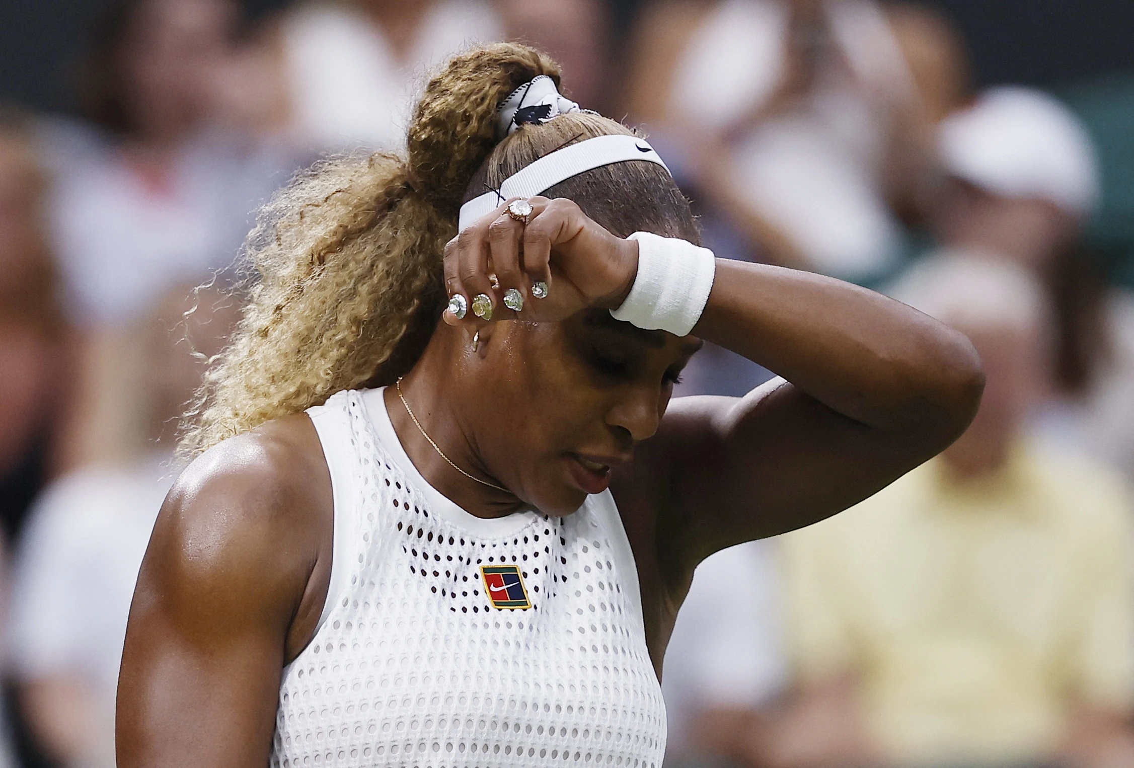 wimbledon,  tay vợt ảnh 11