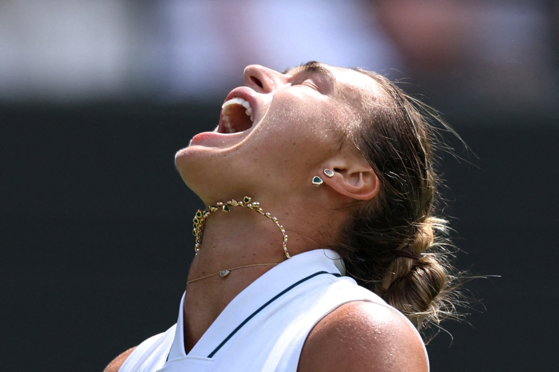 wimbledon,  tay vợt ảnh 9