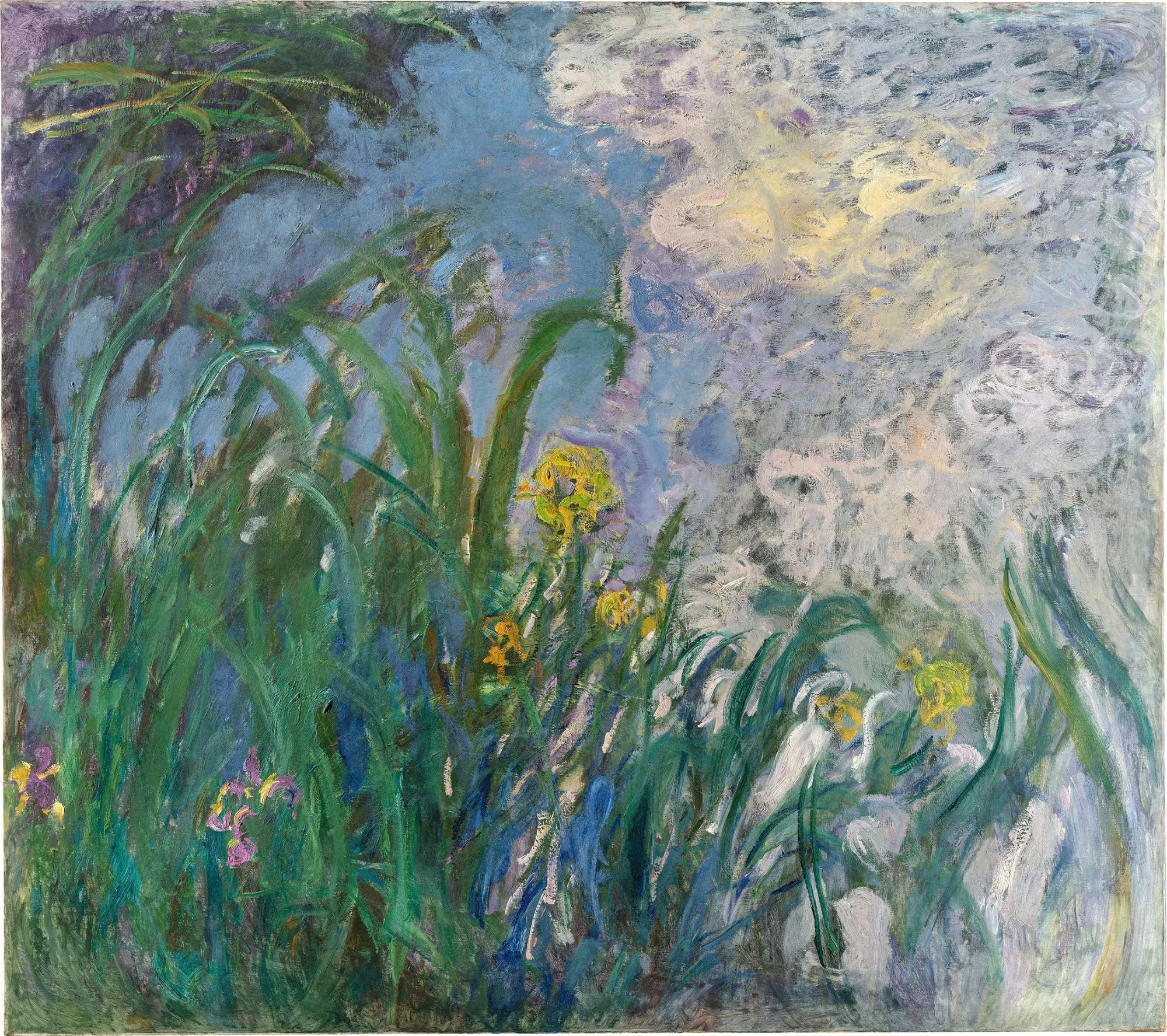 monet,  kỷ lục ảnh 1