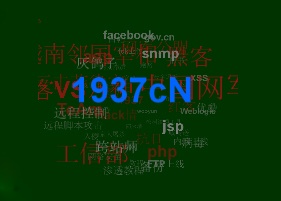 Giai ma vu tan cong ten mien The gioi Di dong va Facebook VN hinh anh