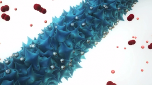 Blog 21h: Virus giup tang thoi luong pin cho smartphone hinh anh