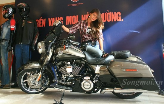 Harley-Davidson 2014 ban do chinh hang gia tu 1,3 ty dong hinh anh
