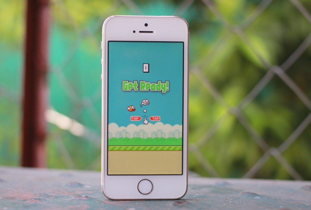 Hanh trinh den 28 ngay tren dinh vinh quang cua Flappy Bird hinh anh