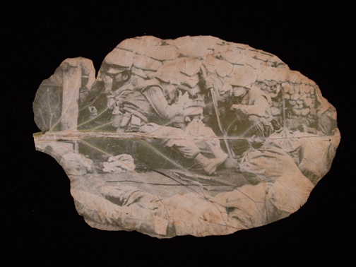 Bo anh chien tranh tren la cay cua nguoi My goc Viet hinh anh