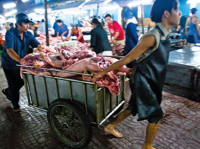 Nguon goc thit lon: Vua an vua so hinh anh