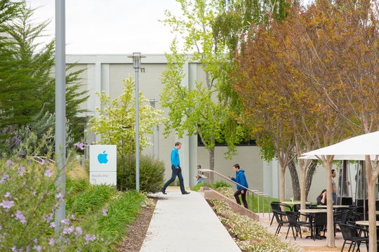 Apple tung video ung ho ngay Trai Dat do Tim Cook doc hinh anh