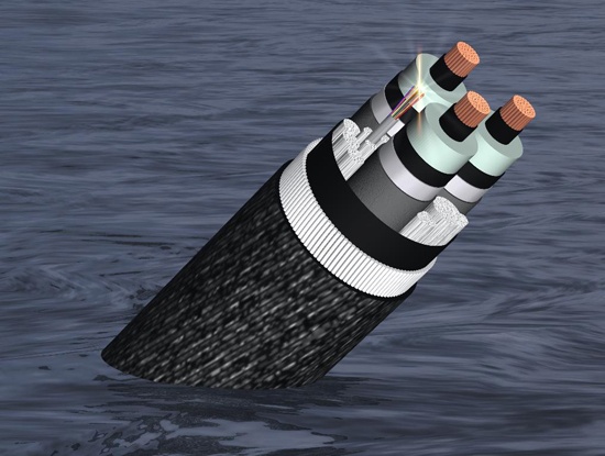 Dut cap quang AAG cach bo bien Vung Tau 18 km hinh anh