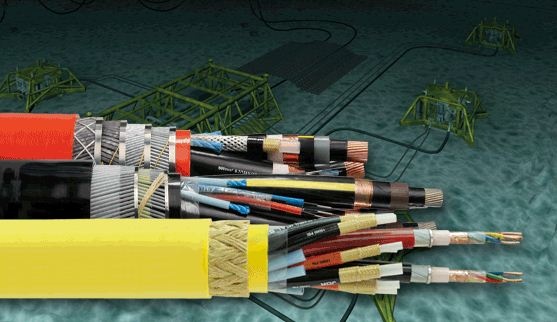 Toc do Internet tu VN di quoc te se hoi phuc vao ngay 30/7 hinh anh