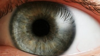 Tai sao mat va nao nguoi thich cac noi dung chay o 60fps? hinh anh