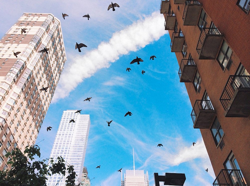 Nhung buc anh kho tin duoc chup bang iPhone doi cu hinh anh