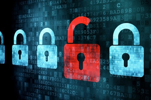 Hang loat website chinh phu va to chuc giao duc o VN bi hack hinh anh