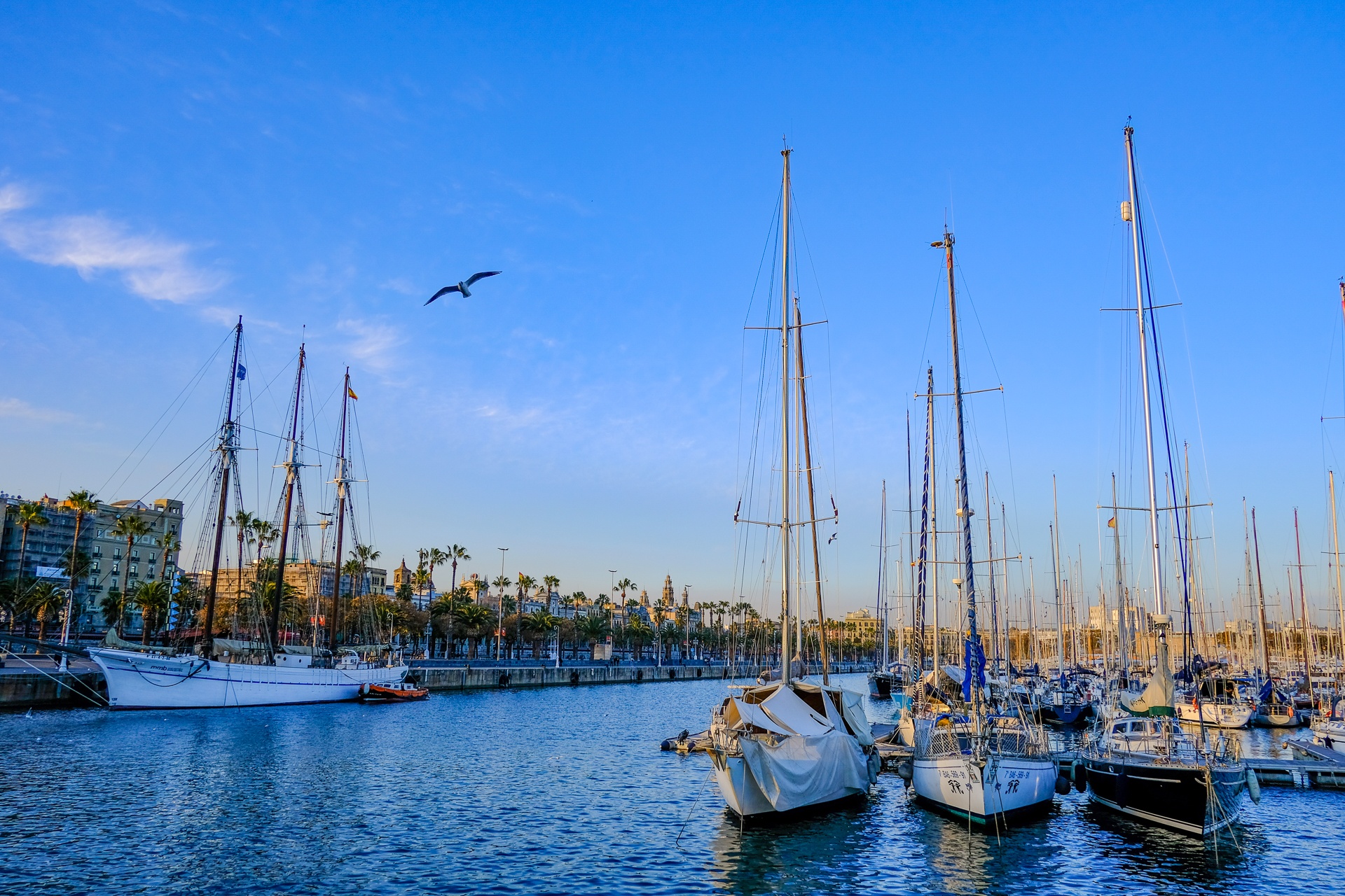 Anh chup tu Fujiflim X-Pro 2 anh 2