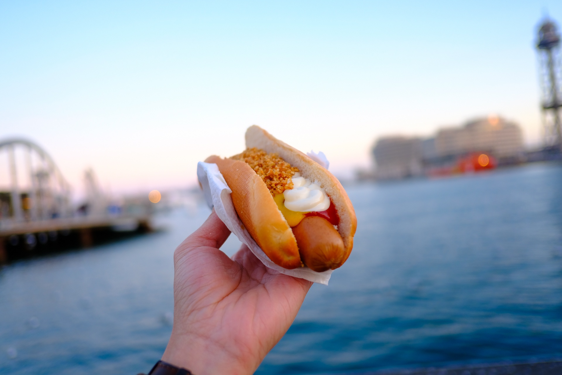 Anh chup tu Fujiflim X-Pro 2 anh 4