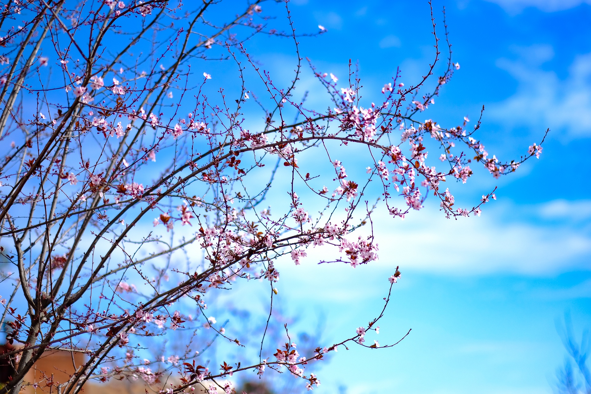 Anh chup tu Fujiflim X-Pro 2 anh 11