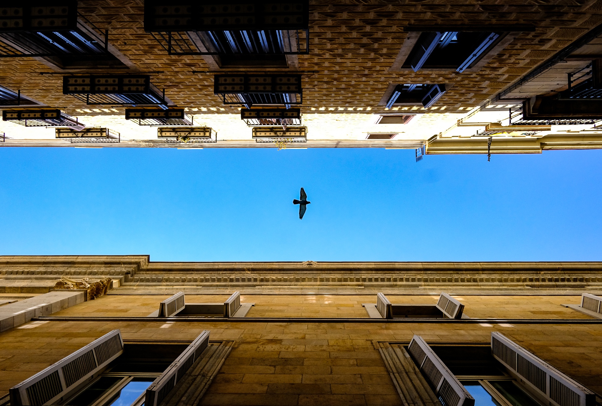 Anh chup tu Fujiflim X-Pro 2 anh 13