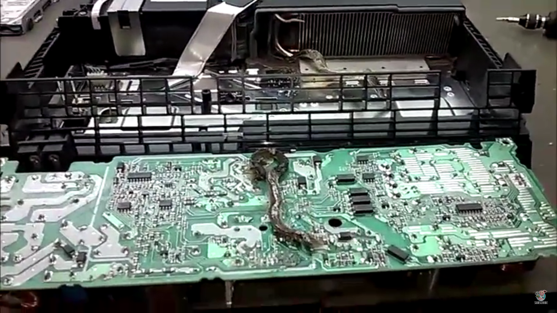 Ran chet vi chui vao may choi game PlayStation hinh anh