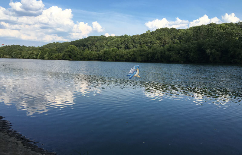 bi hai san Pokemon anh 8