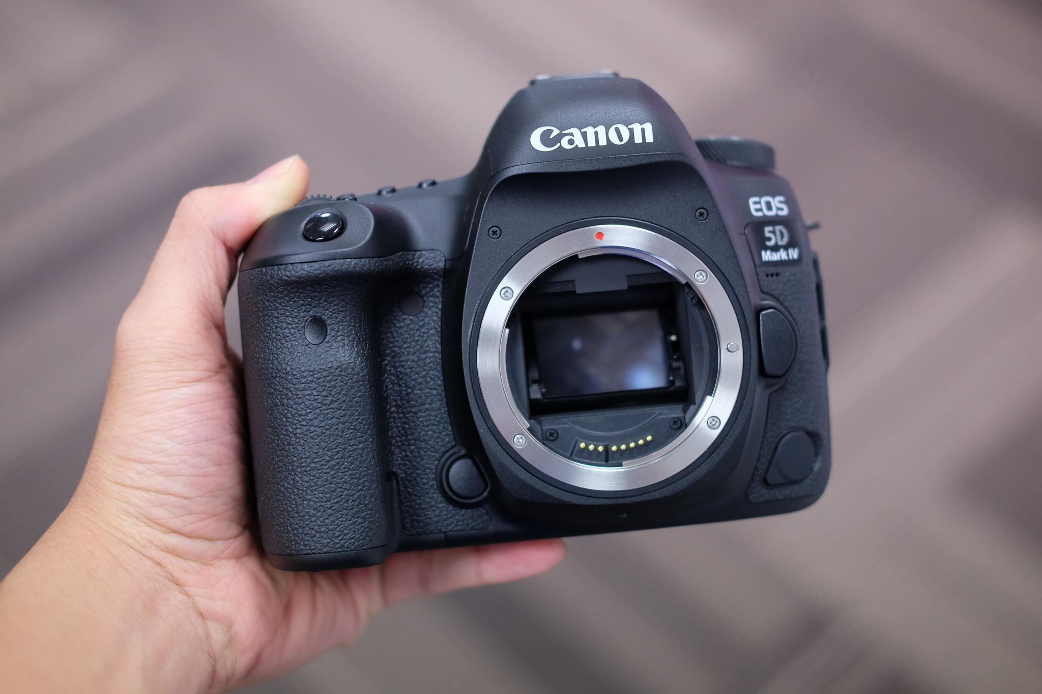 Canon 5D Mark IV o Viet Nam anh 8