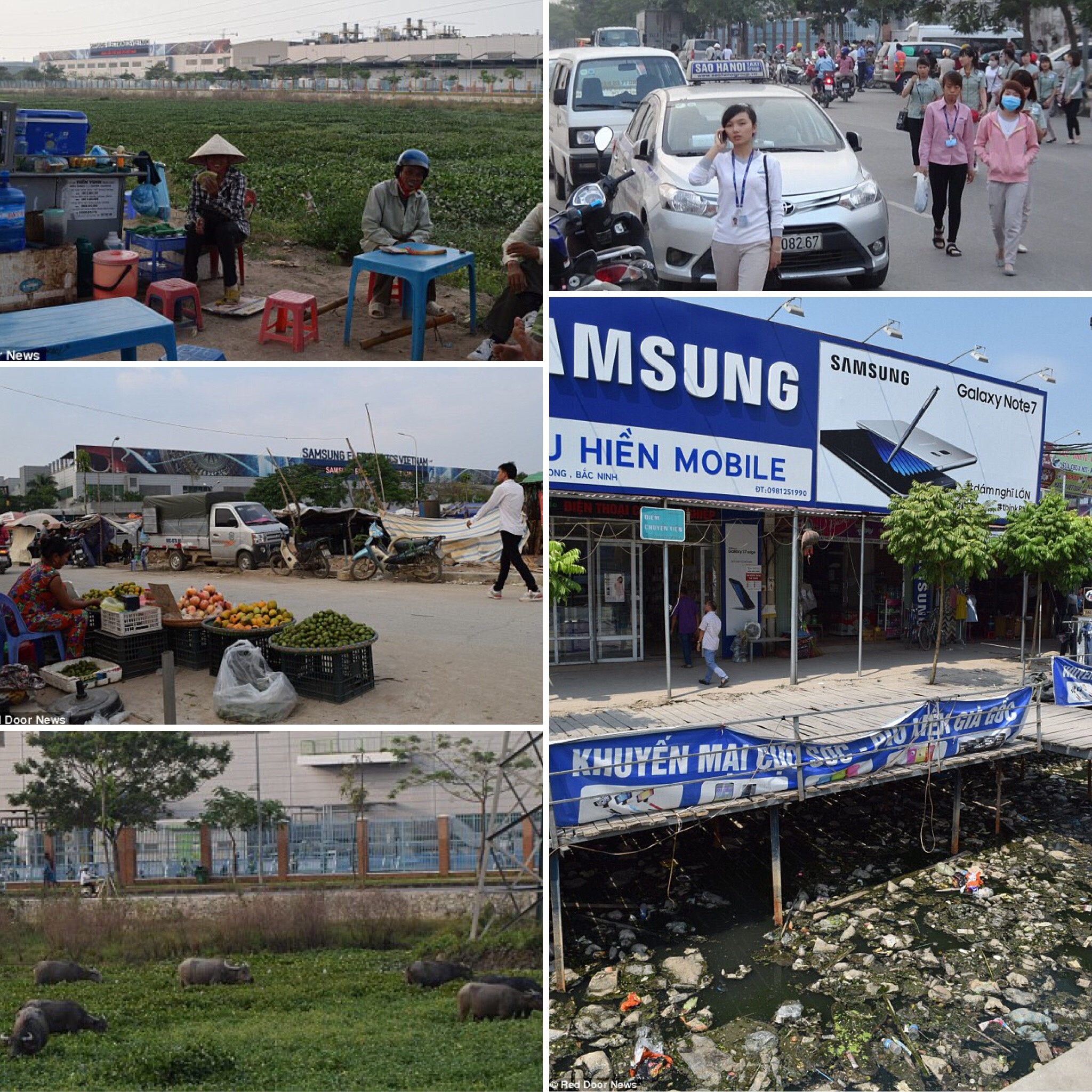 nha may Samsung Viet Nam anh 1