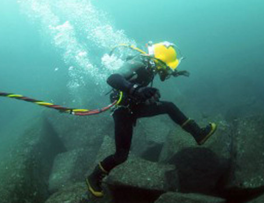 Cap AAG ro dien, sua xong vao ngay 18/1 hinh anh