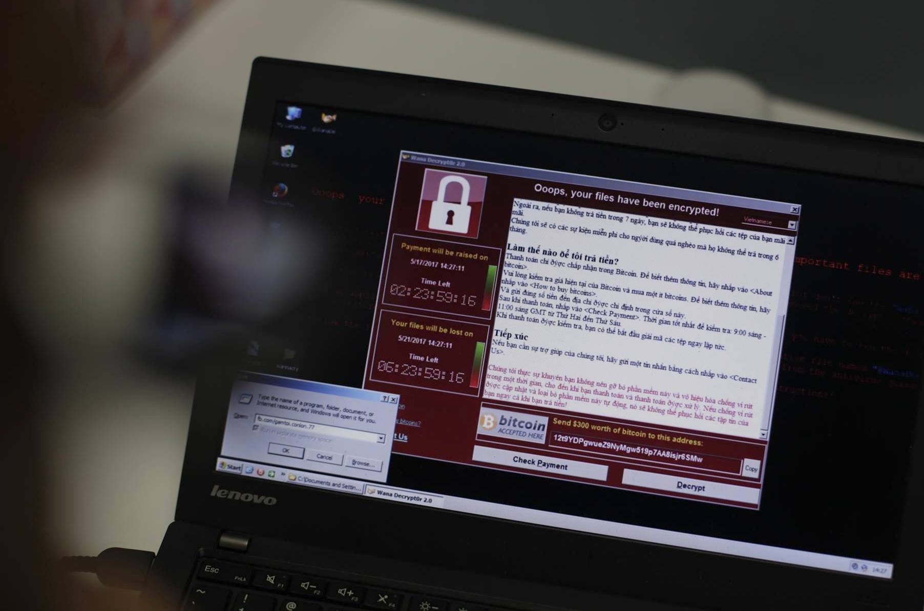 Viet Nam gap rut doi pho tan cong mang anh 2