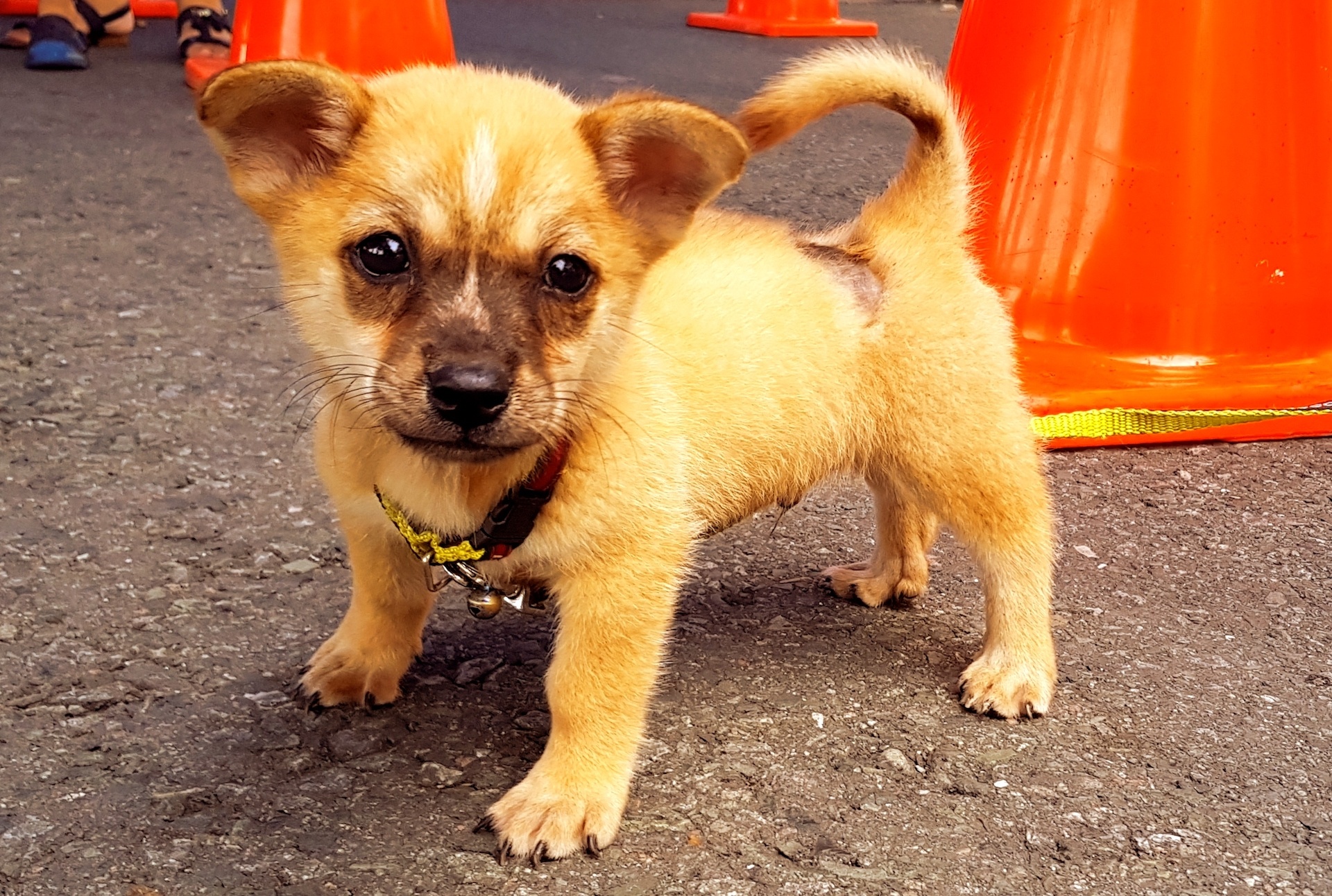 anh chup bang camera cua Galaxy S8 anh 1