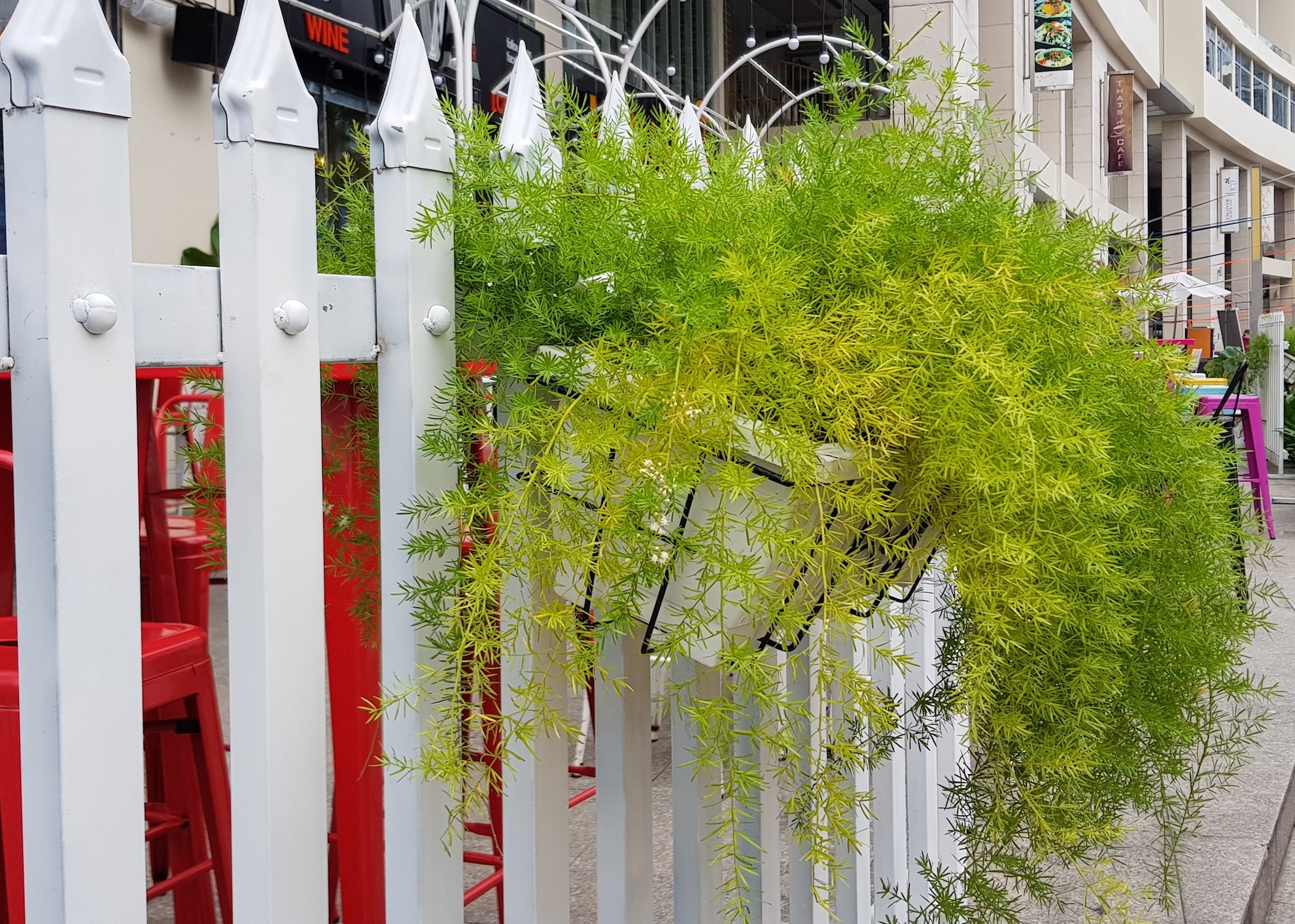 anh chup bang camera cua Galaxy S8 anh 6