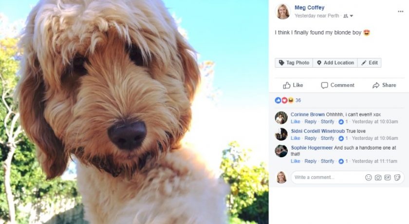 Vi sao anh dai dien cua Facebook doi sang dang tron? hinh anh