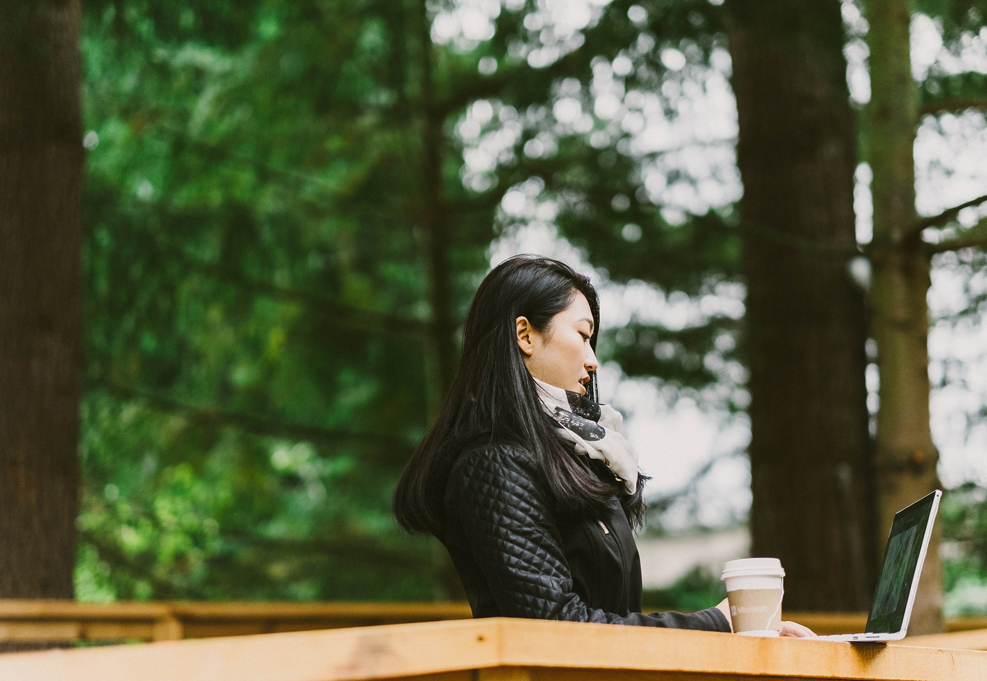 van phong tren cay cua Microsoft anh 7