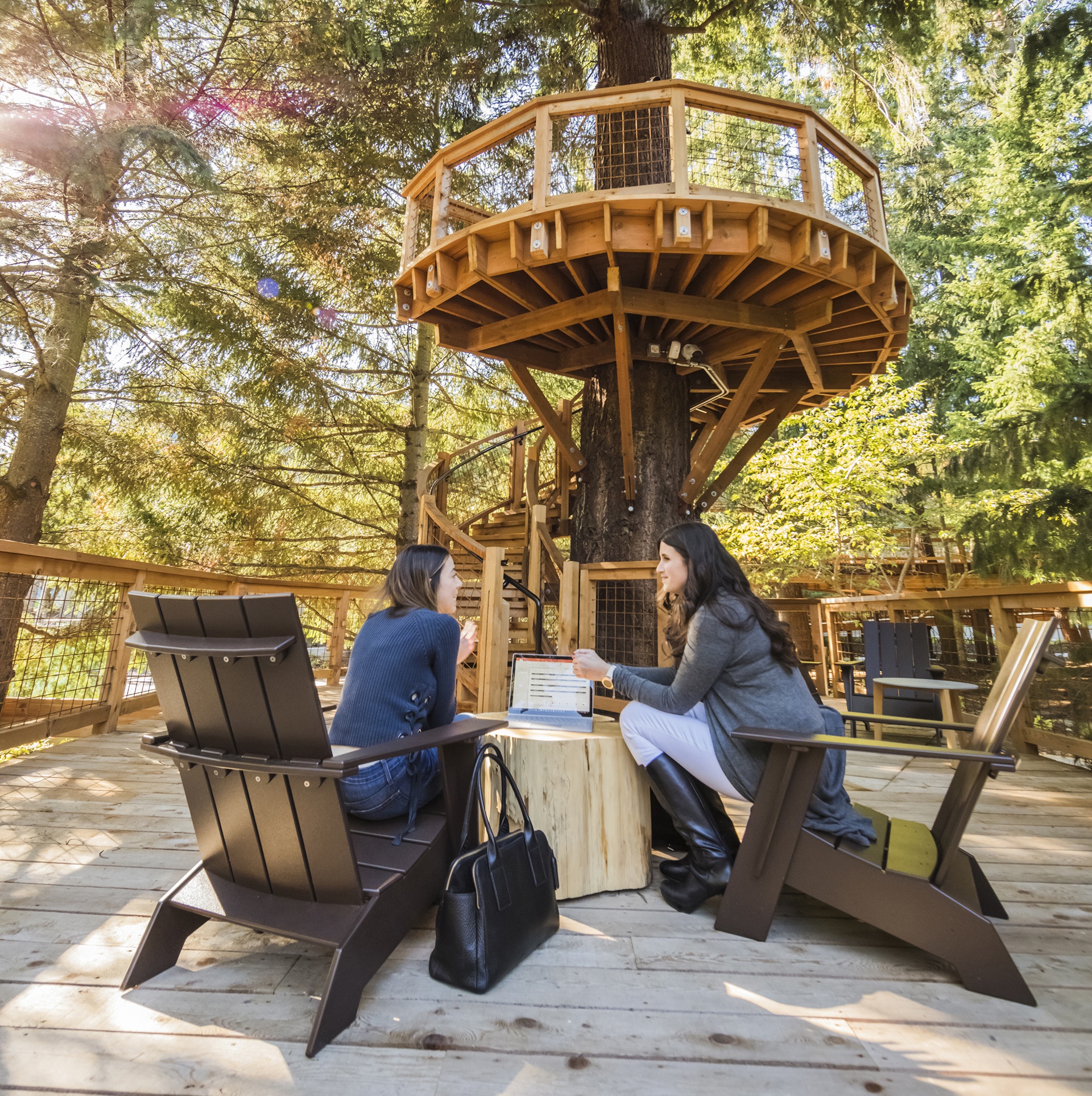 van phong tren cay cua Microsoft anh 3