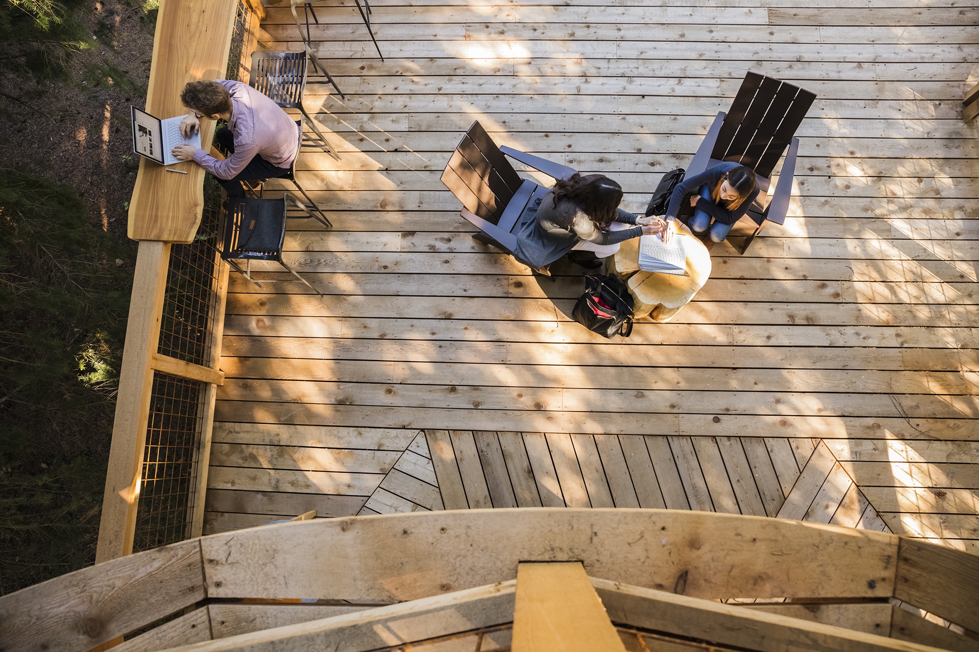 van phong tren cay cua Microsoft anh 5