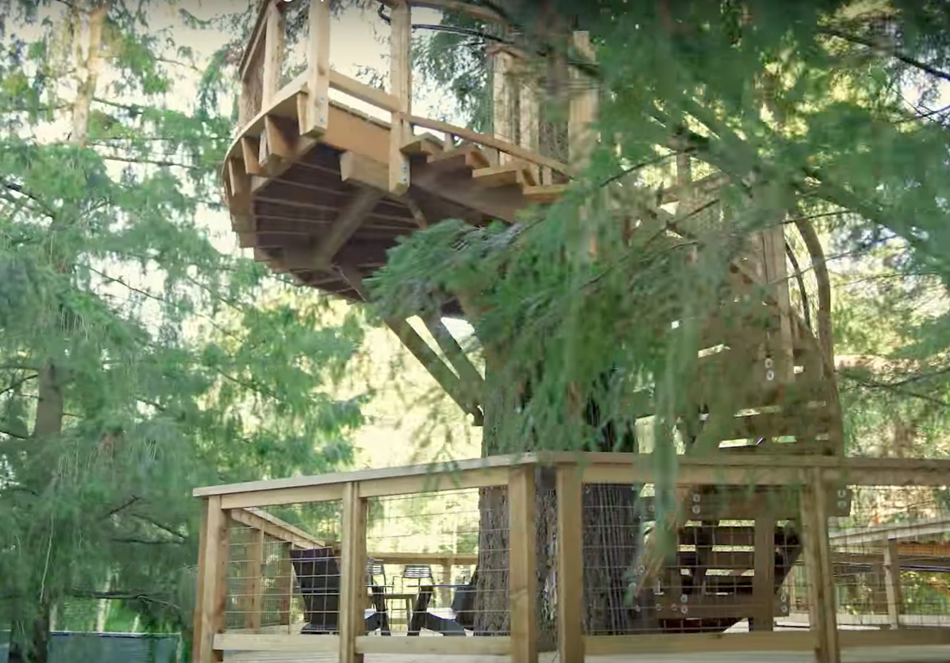 Van phong tren cay tuyet dep cua Microsoft hinh anh