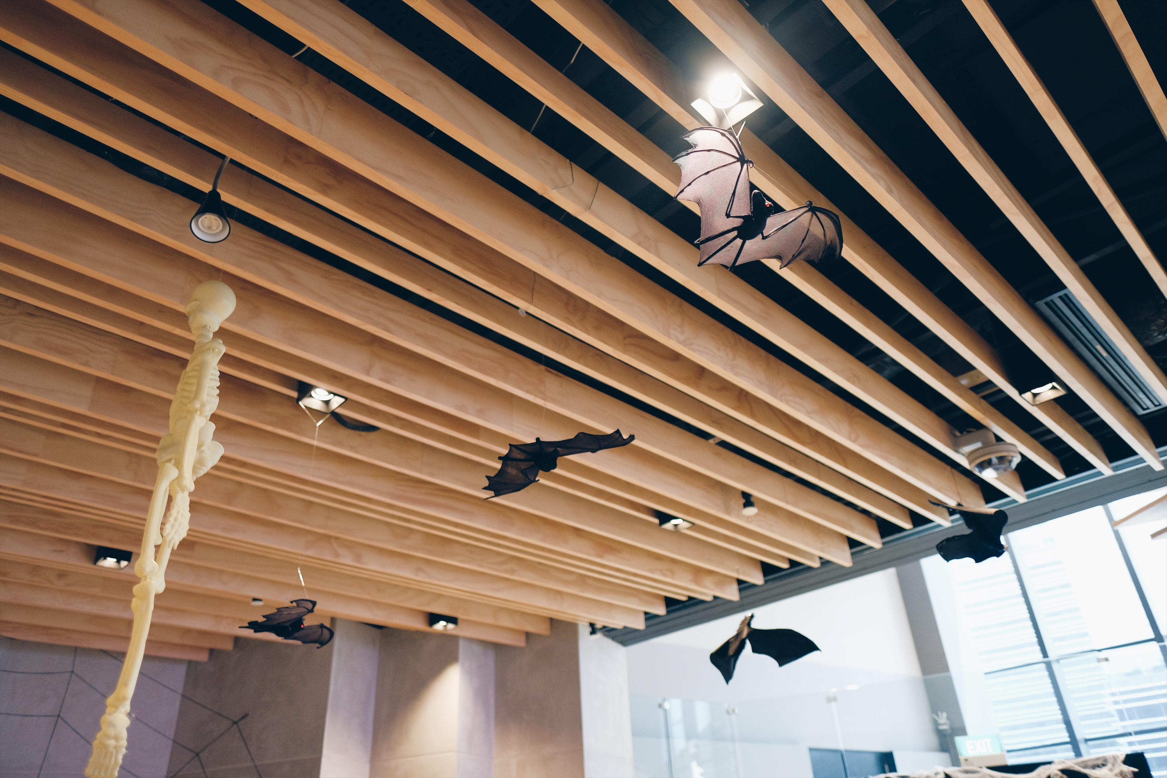 Van phong cua Google tai Singapore anh 4