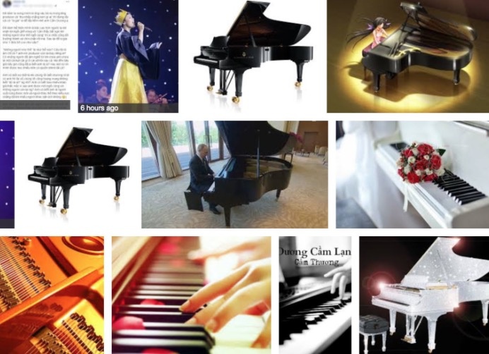 Nhieu nguoi Viet tim 'Duong Cam' tren Google de kiem chung loi Miu Le hinh anh