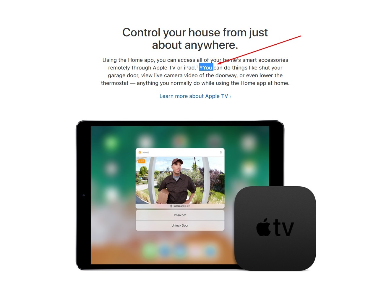 Nguoi Viet bat loi chinh ta tren website Apple hinh anh