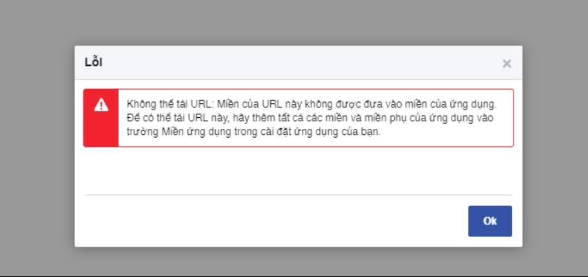 Facebook dong API cac ung dung o Viet Nam anh 2