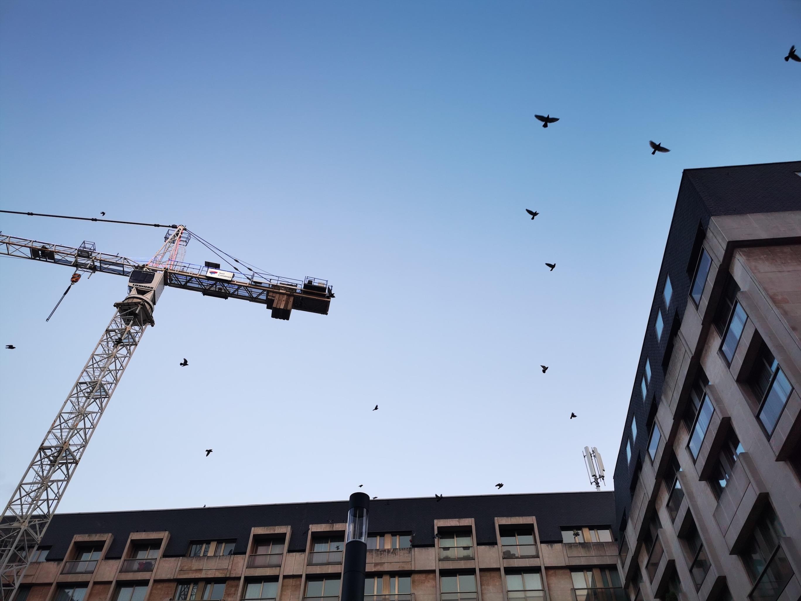 Danh gia camera P30 Pro anh 7