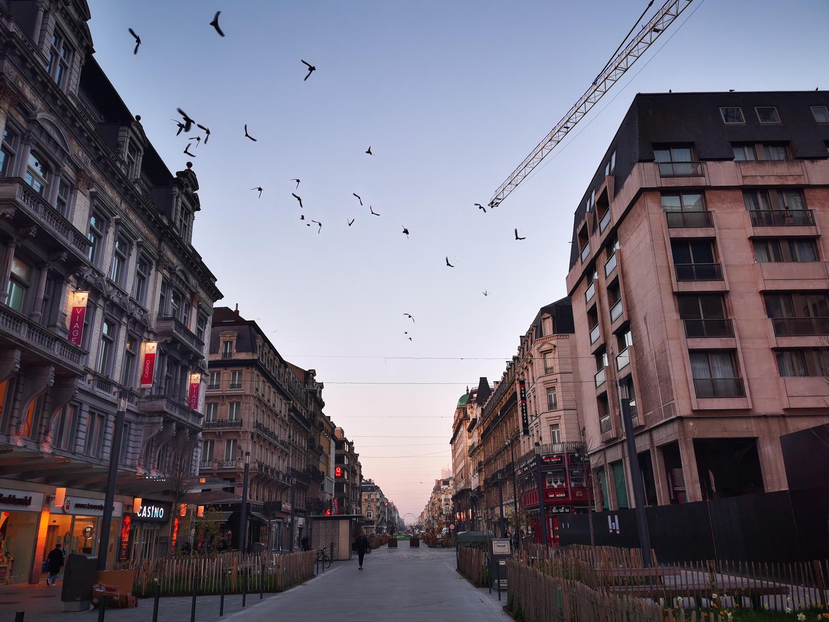 Danh gia camera P30 Pro anh 5