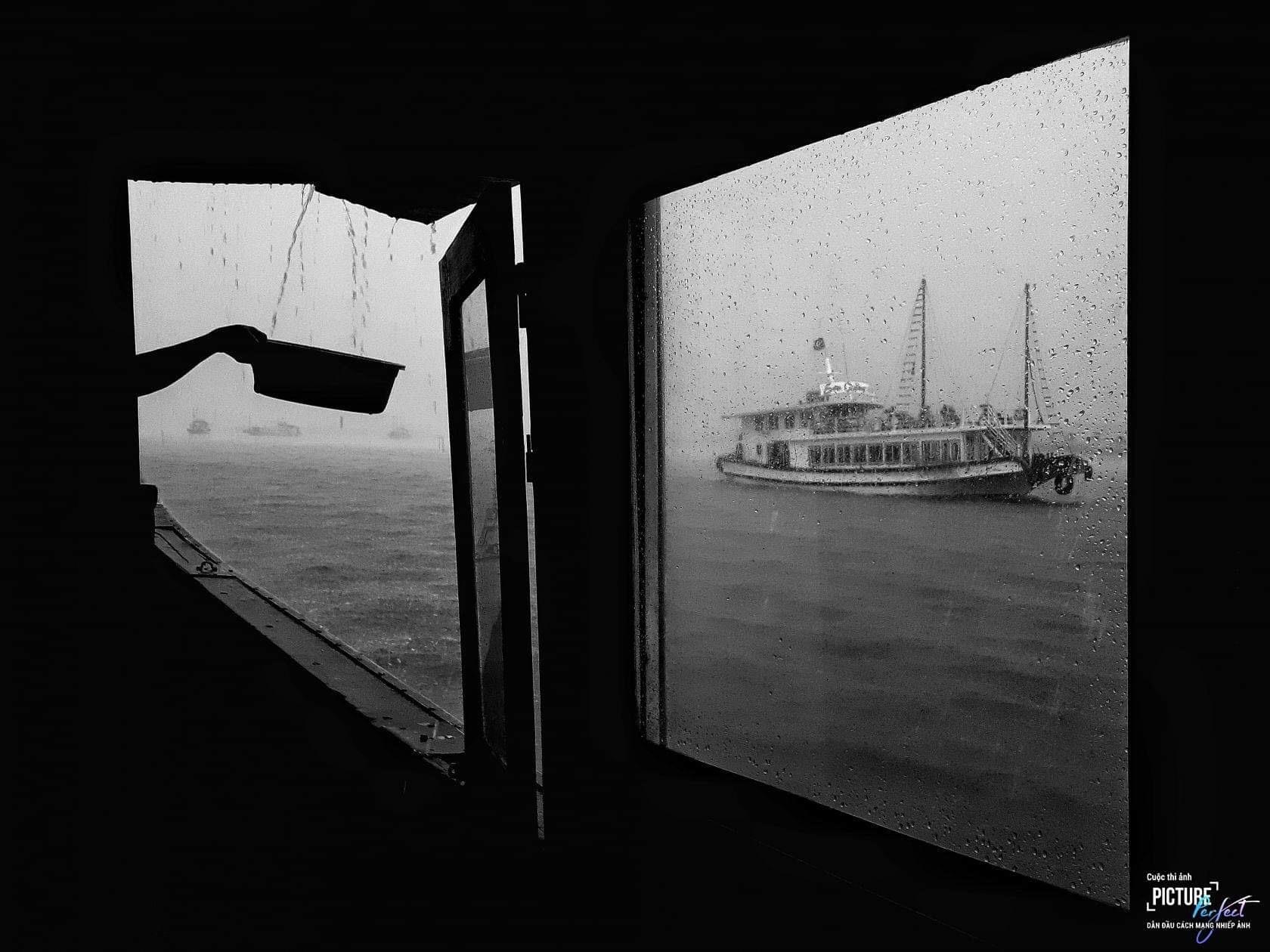 Picture-Perfect anh 3