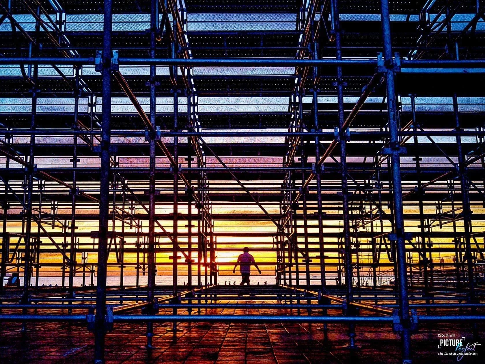 Picture-Perfect anh 4