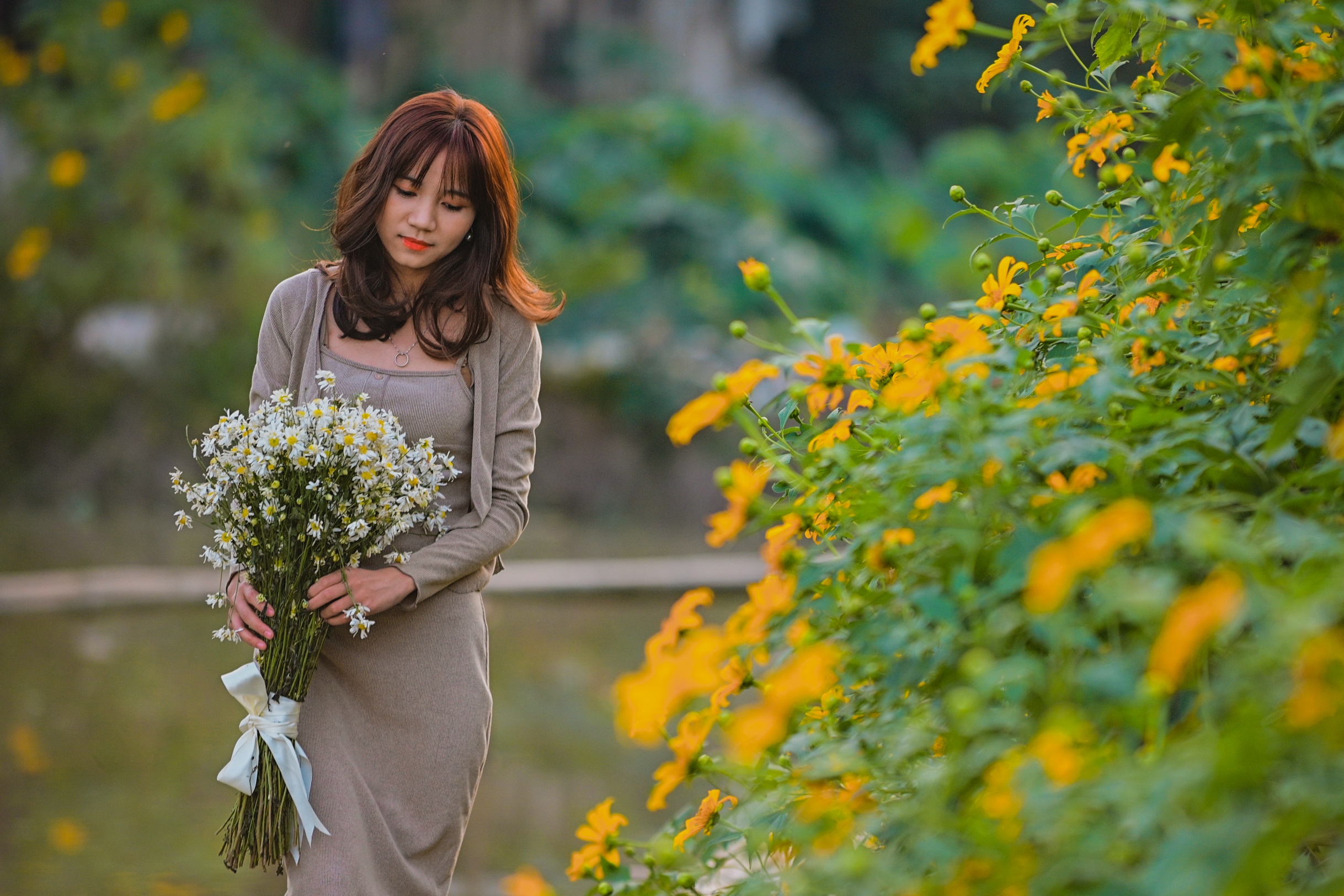 dia diem du lich,  vuon hoa anh 7