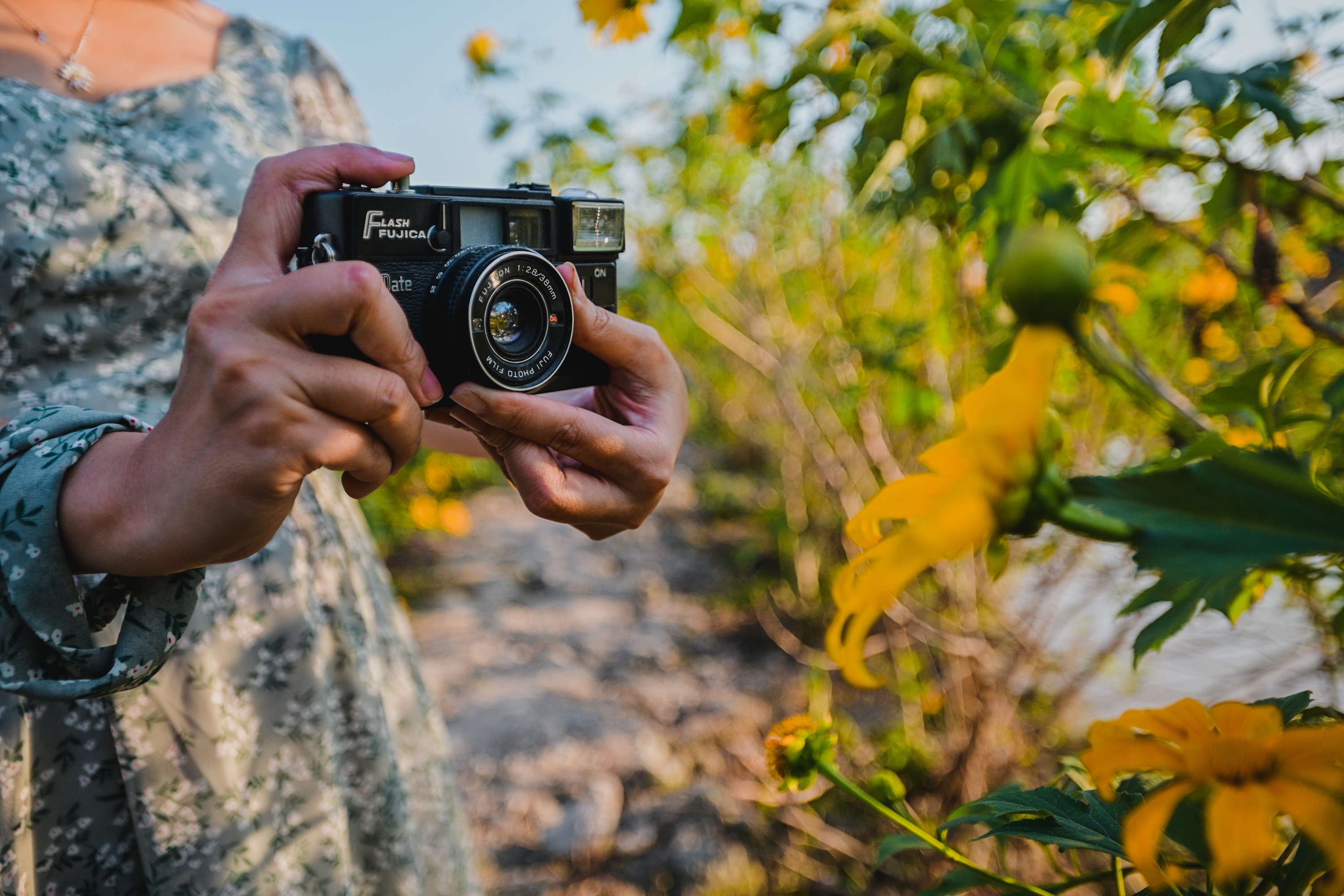 dia diem du lich,  vuon hoa anh 3