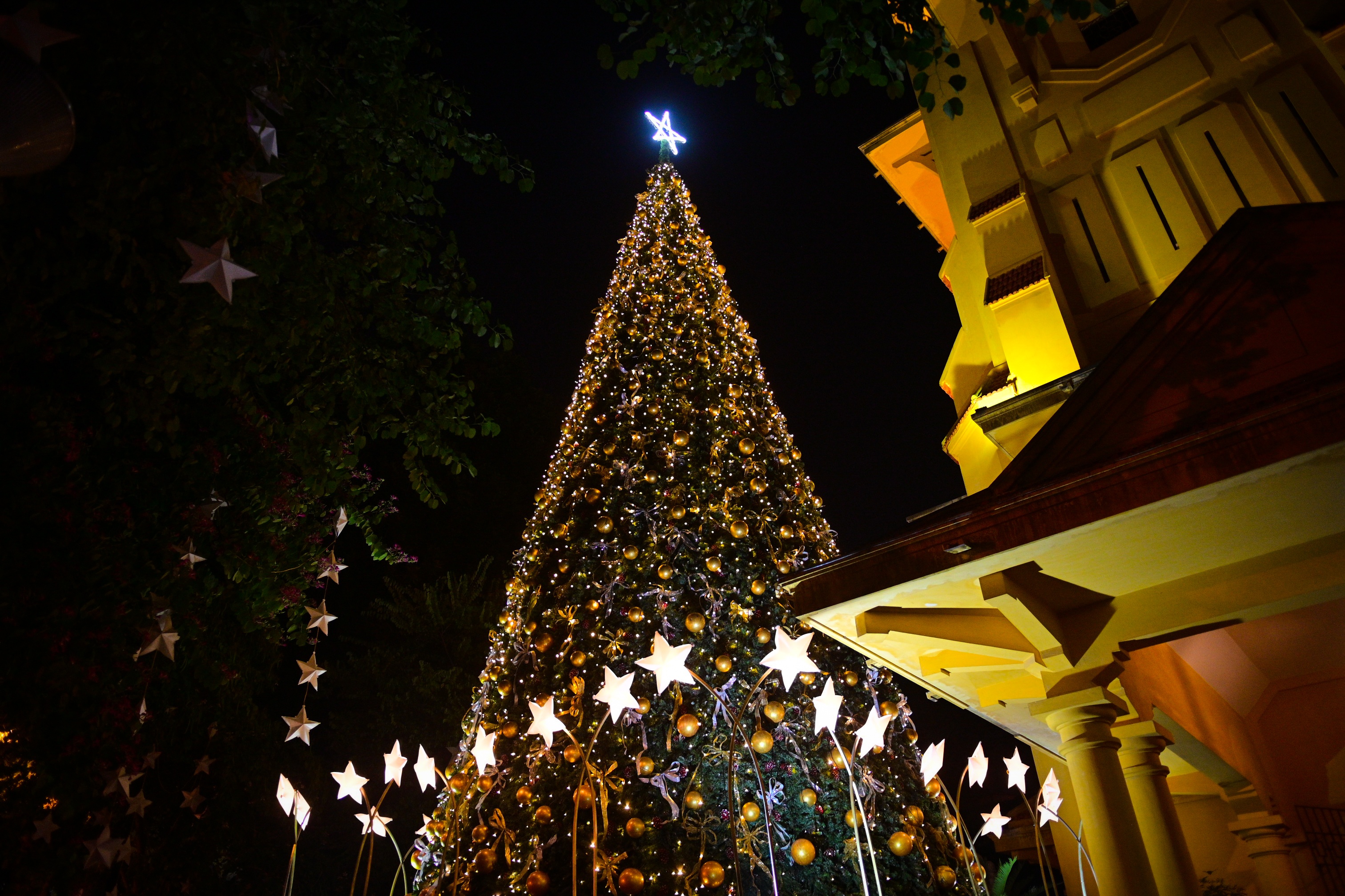 giang sinh 2021,  noel,  christmast,  xmas,  nha tho anh 6