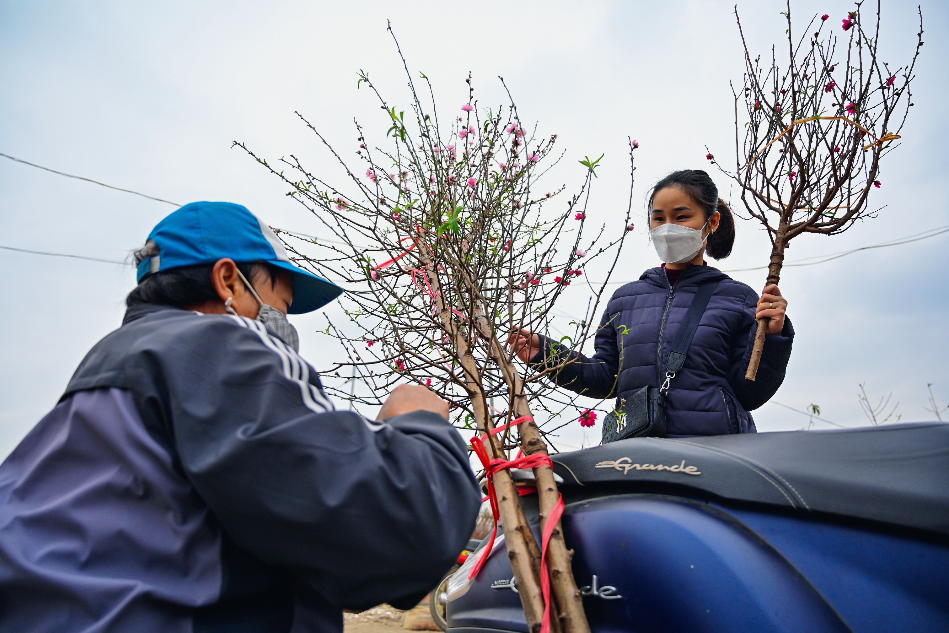 Lang hoa lon nhat Ha Noi vao mua phuc vu Tet hinh anh