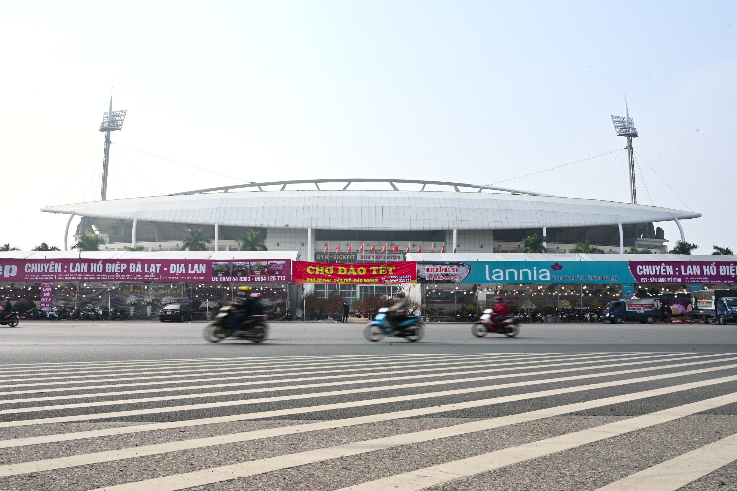 hoa lan ho diep thu hut khach,  lan ho diep gia khung anh 1