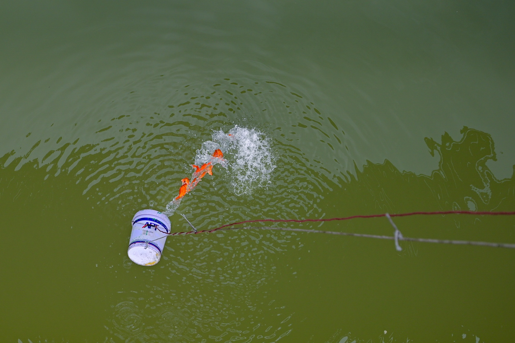 ong cong ong tao,  23 am lich,  tet am lich anh 7