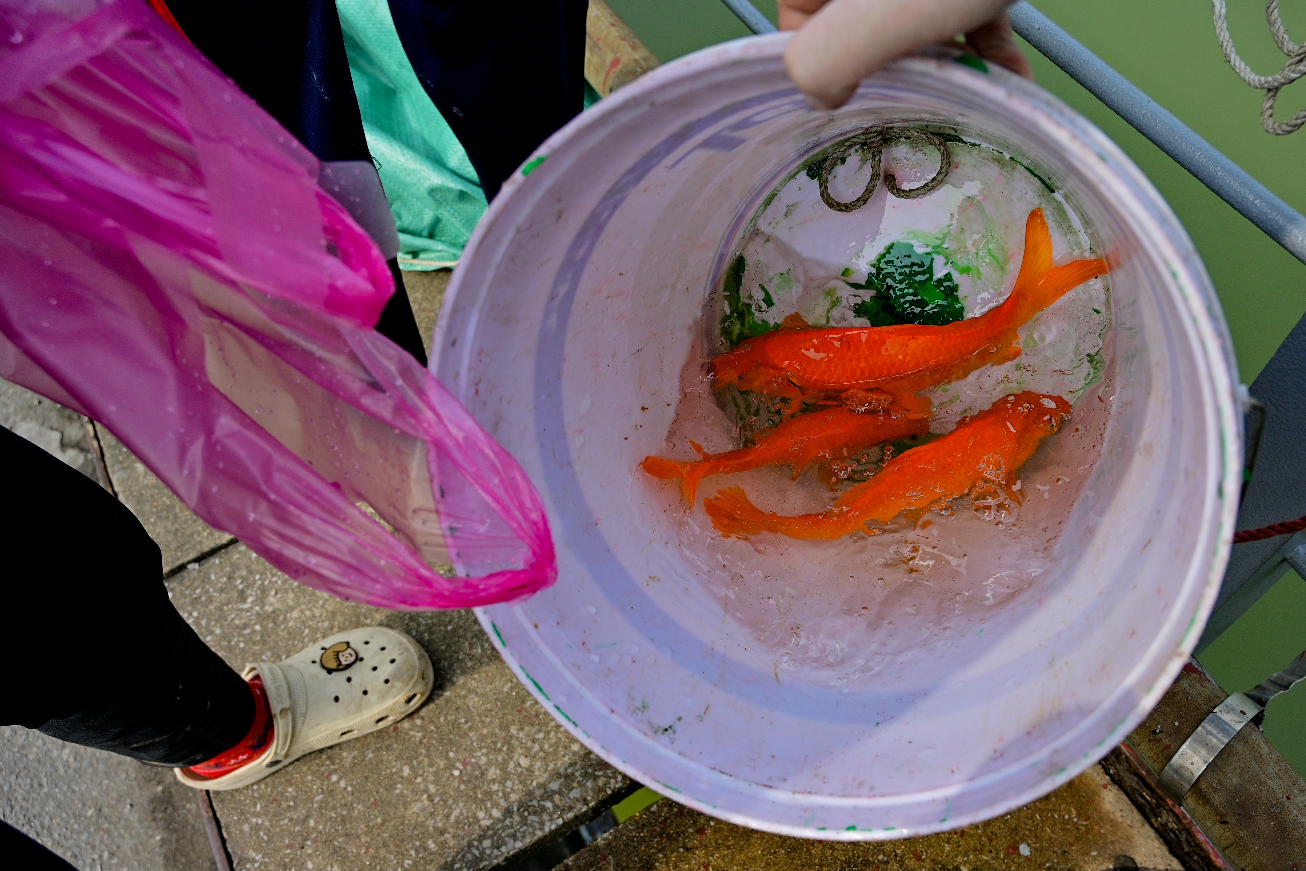 ong cong ong tao,  23 am lich,  tet am lich anh 6