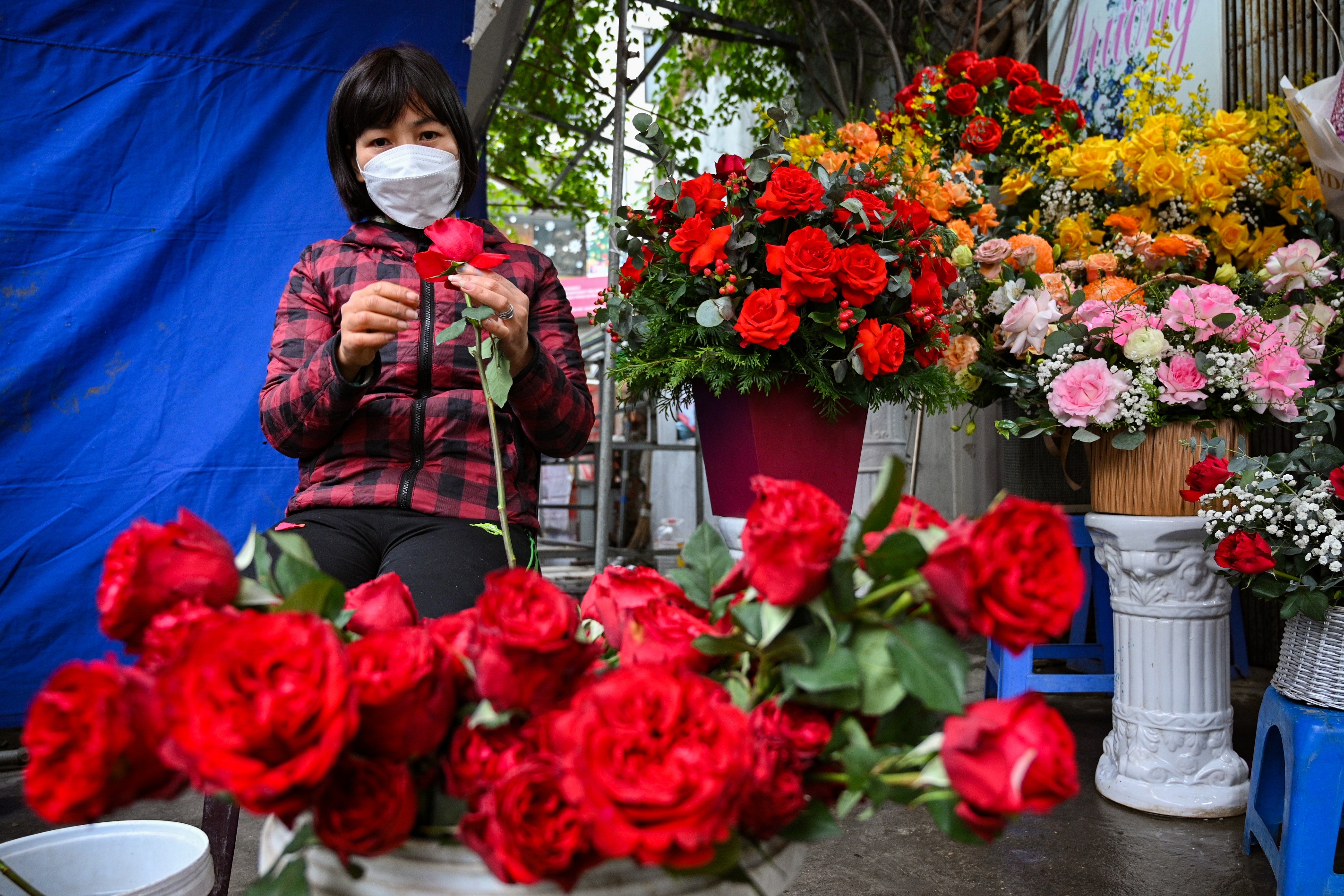 le tinh yeu,  qua tang,  hoa anh 9