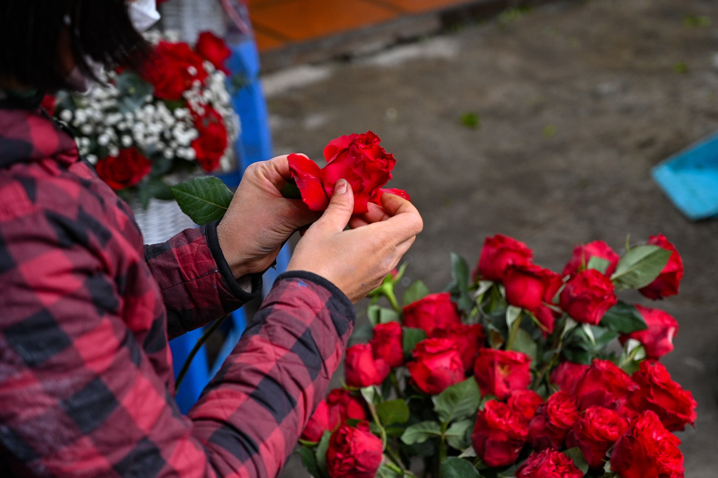 le tinh yeu,  qua tang,  hoa anh 10