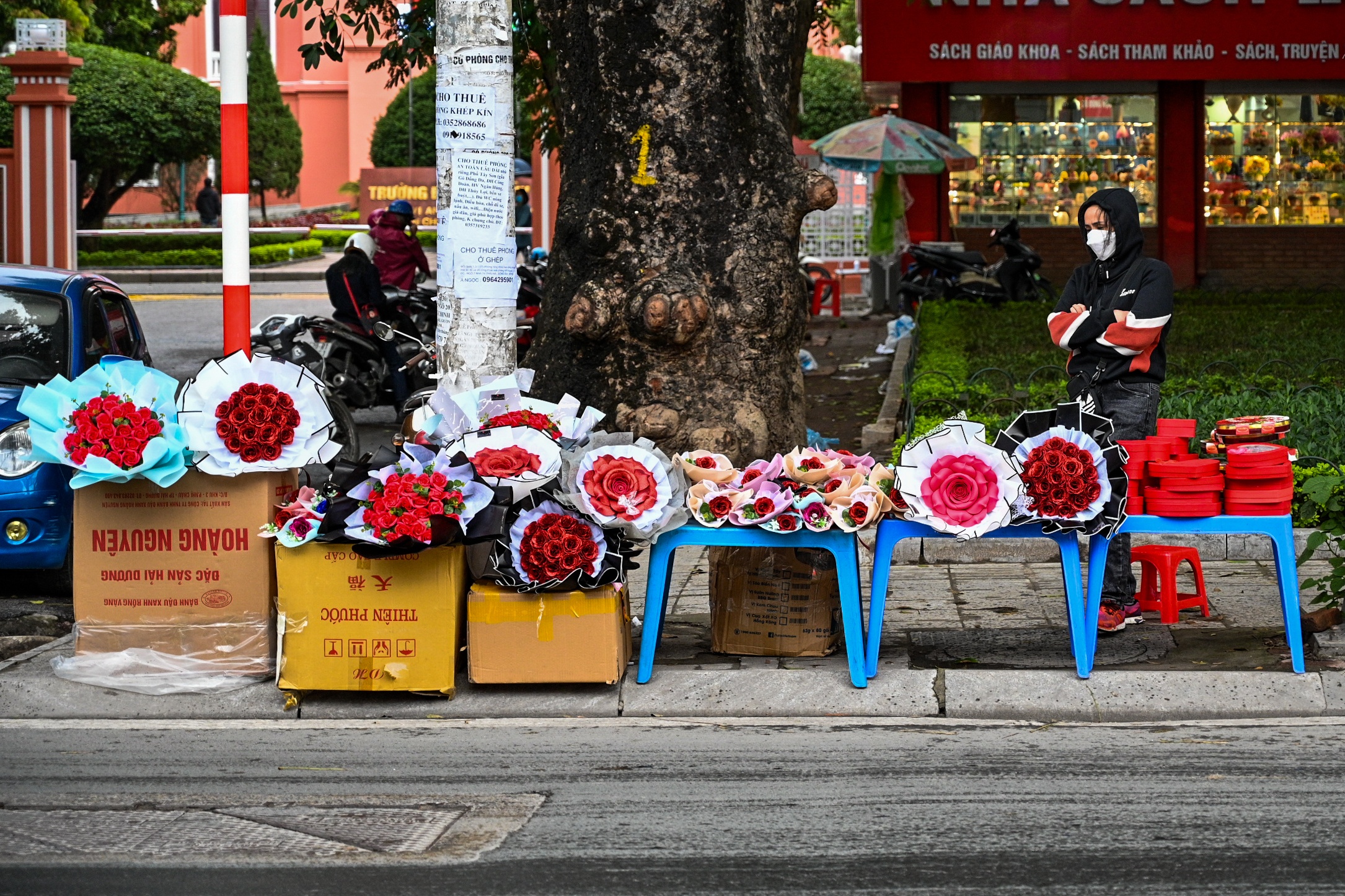 le tinh yeu,  qua tang,  hoa anh 11